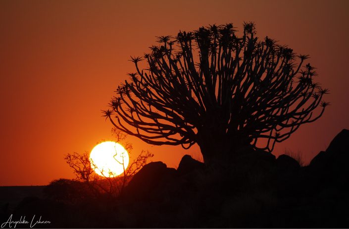 Fotografie Namibia Reisefotografie