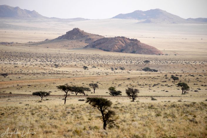 Fotografie Namibia Reisefotografie